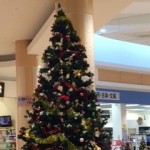 今年もクリスマスの季節がやってきました♪【福岡県 久留米市･筑後市･八女市】theou(ザオウ)イオンスーパーセンター大木店