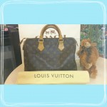 LOUIS　VUITTON　（ルイ・ヴィトン）　スピーディ30　M41526　お買取しました！イオンスーパーセンターtheou十和田店☆七戸町・野辺地町・東北町～